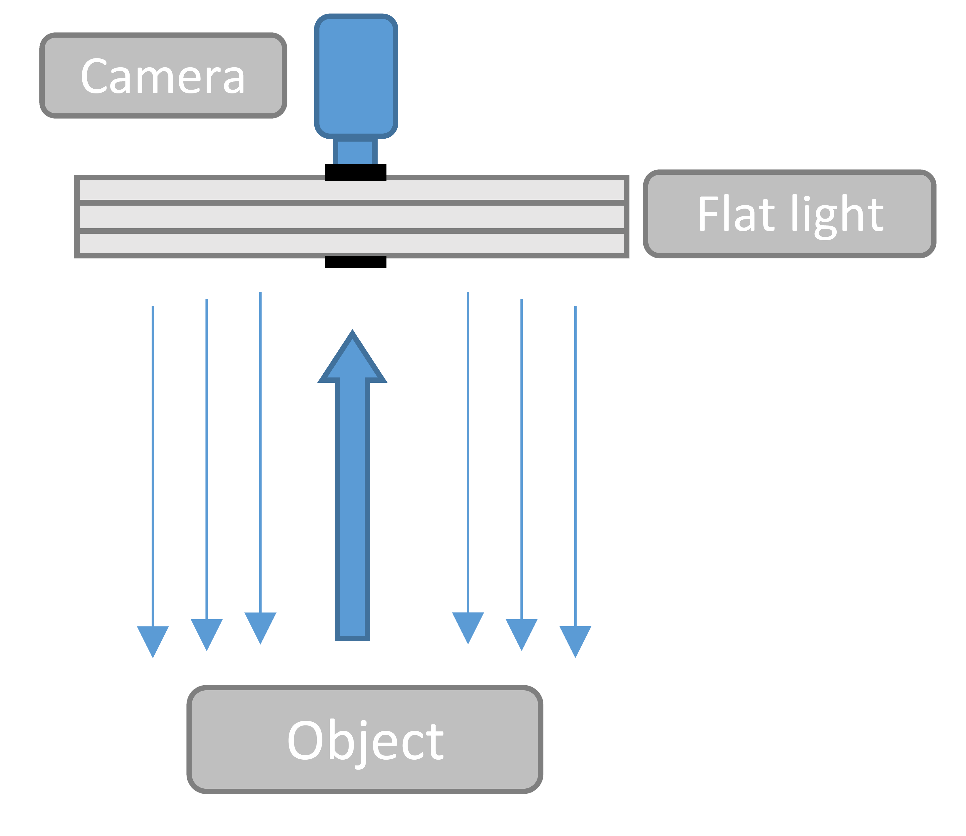 Alt Text